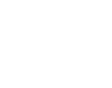 Concealed Weapons License Icon