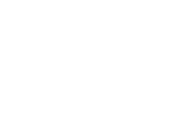 Driver Licenses Icon